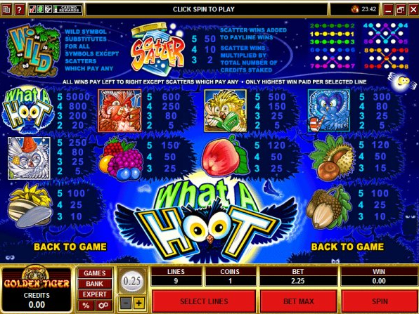 What a Hoot Slots have fun88 1