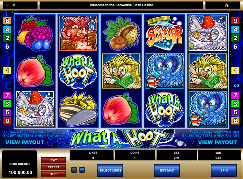 What a Hoot Slots have fun88